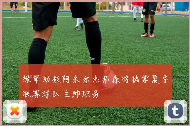 绿军助教阿米尔杰弗森将执掌夏季联赛球队主帅职务
