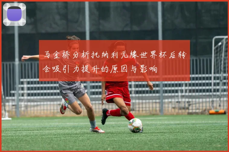 马金桥分析托纳利无缘世界杯后转会吸引力提升的原因与影响